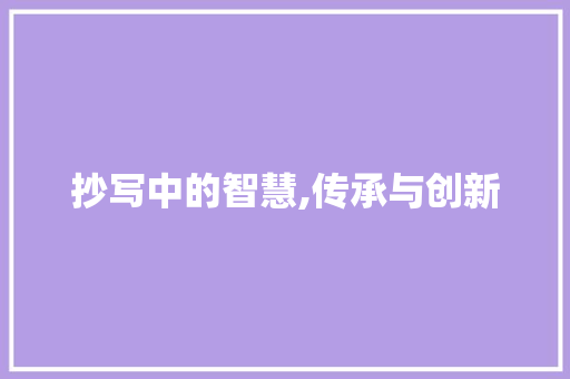 抄写中的智慧,传承与创新