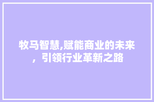 牧马智慧,赋能商业的未来，引领行业革新之路