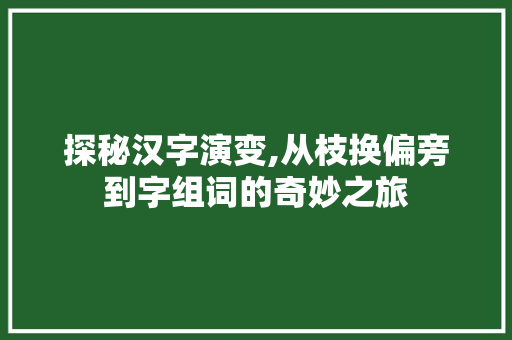 探秘汉字演变,从枝换偏旁到字组词的奇妙之旅