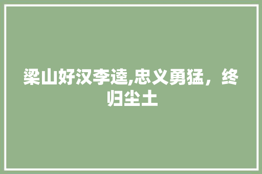 梁山好汉李逵,忠义勇猛，终归尘土 英语单词