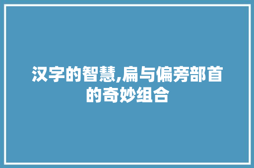 汉字的智慧,扁与偏旁部首的奇妙组合