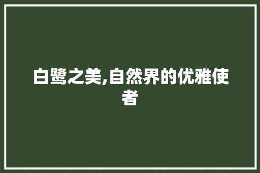 白鹭之美,自然界的优雅使者