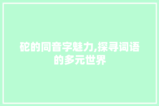 砣的同音字魅力,探寻词语的多元世界