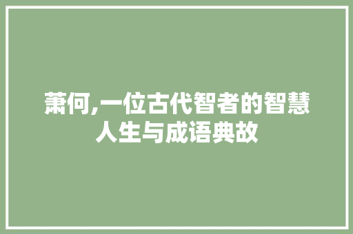 萧何,一位古代智者的智慧人生与成语典故 汉字拼音