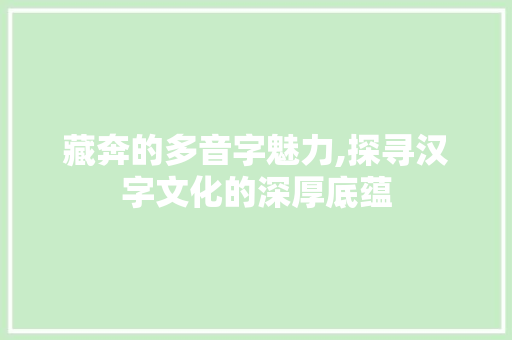 藏奔的多音字魅力,探寻汉字文化的深厚底蕴