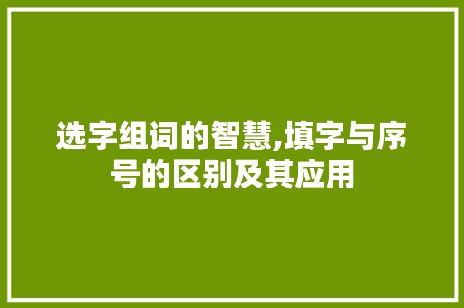 选字组词的智慧,填字与序号的区别及其应用
