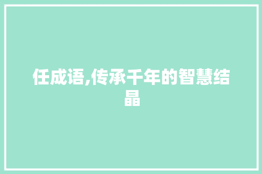 任成语,传承千年的智慧结晶 汉字拼音