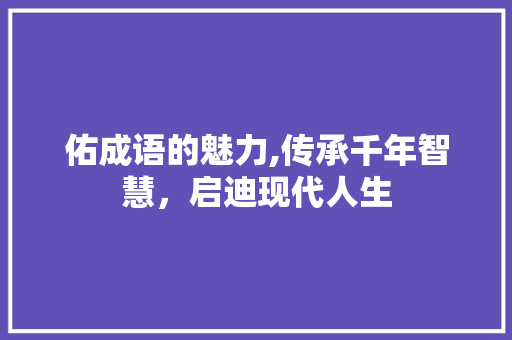 佑成语的魅力,传承千年智慧，启迪现代人生