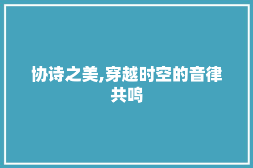 协诗之美,穿越时空的音律共鸣 近义词汇