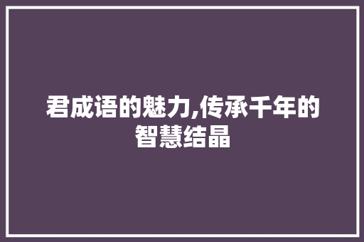 君成语的魅力,传承千年的智慧结晶