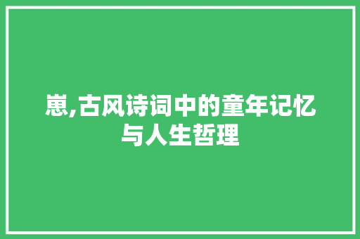 崽,古风诗词中的童年记忆与人生哲理
