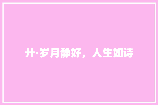 廾·岁月静好，人生如诗 古代典籍