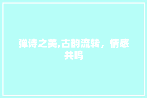 弹诗之美,古韵流转，情感共鸣