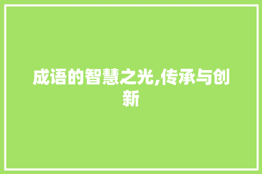 成语的智慧之光,传承与创新