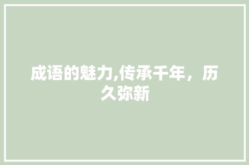 成语的魅力,传承千年，历久弥新