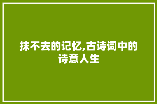 抹不去的记忆,古诗词中的诗意人生