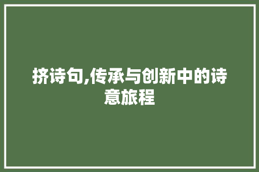 挤诗句,传承与创新中的诗意旅程 反义词汇