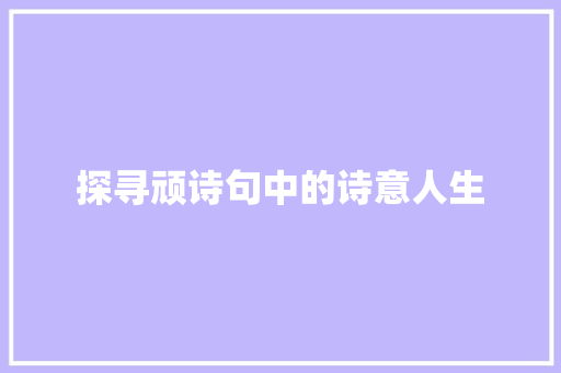 探寻顽诗句中的诗意人生 短语