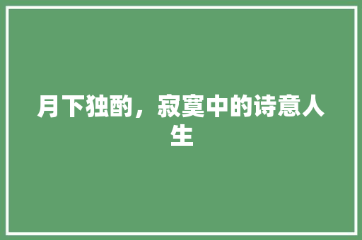 月下独酌，寂寞中的诗意人生