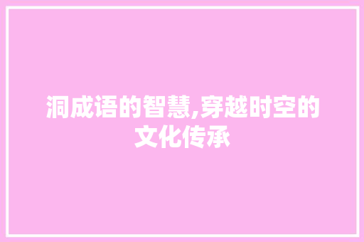 洞成语的智慧,穿越时空的文化传承