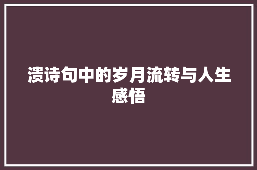 溃诗句中的岁月流转与人生感悟