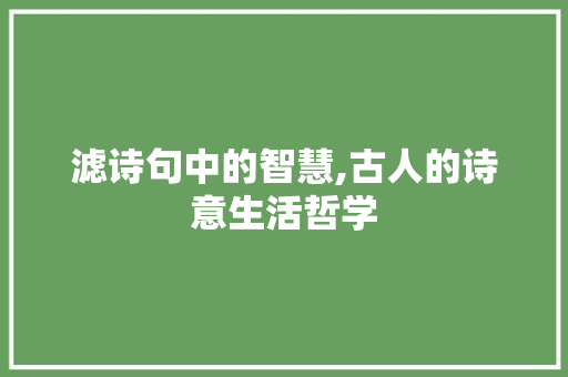 滤诗句中的智慧,古人的诗意生活哲学