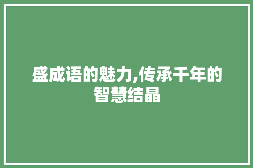 盛成语的魅力,传承千年的智慧结晶