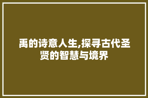 禹的诗意人生,探寻古代圣贤的智慧与境界