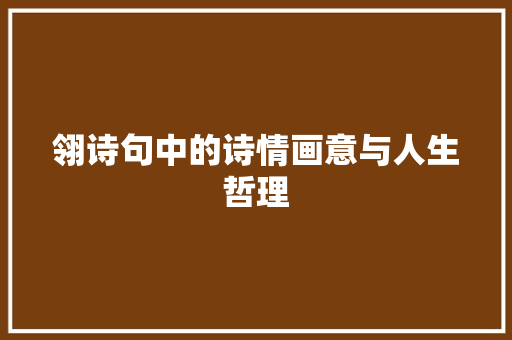翎诗句中的诗情画意与人生哲理