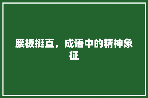 腰板挺直，成语中的精神象征