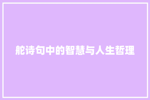 舵诗句中的智慧与人生哲理