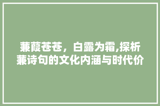 蒹葭苍苍，白露为霜,探析蒹诗句的文化内涵与时代价值