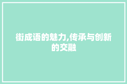 街成语的魅力,传承与创新的交融