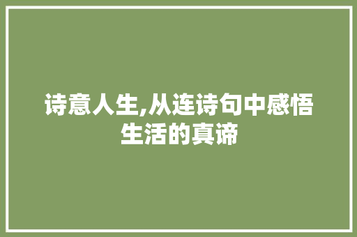 诗意人生,从连诗句中感悟生活的真谛