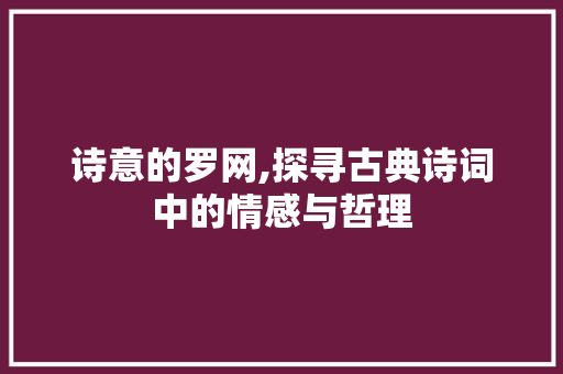 诗意的罗网,探寻古典诗词中的情感与哲理
