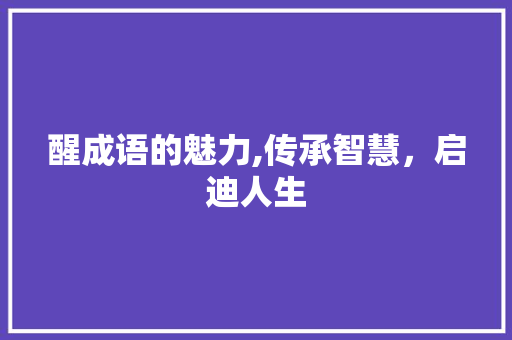 醒成语的魅力,传承智慧，启迪人生