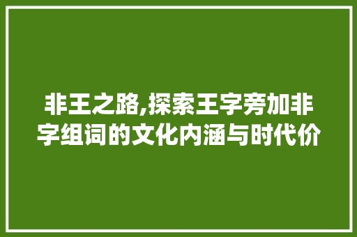 非王之路,探索王字旁加非字组词的文化内涵与时代价值_王字旁加个非什么字组词