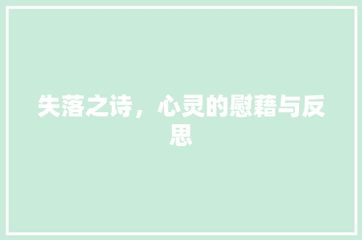 失落之诗，心灵的慰藉与反思