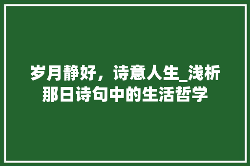 岁月静好，诗意人生_浅析那日诗句中的生活哲学