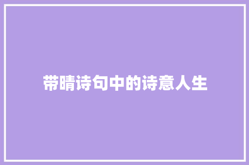 带晴诗句中的诗意人生
