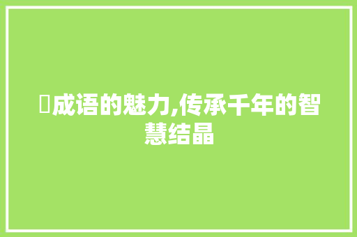 廯成语的魅力,传承千年的智慧结晶