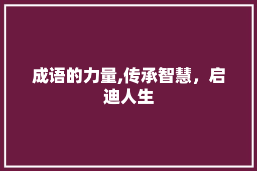 成语的力量,传承智慧，启迪人生