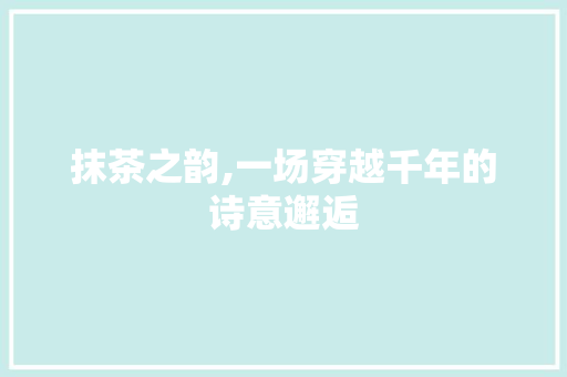 抹茶之韵,一场穿越千年的诗意邂逅 问答