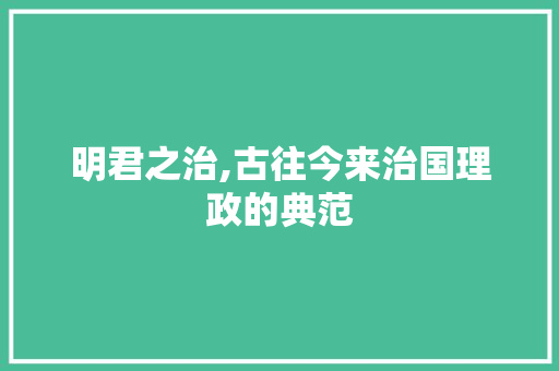 明君之治,古往今来治国理政的典范 反义词汇