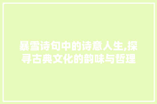 暴雪诗句中的诗意人生,探寻古典文化的韵味与哲理