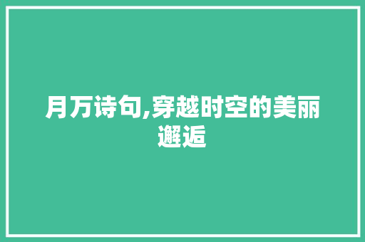 月万诗句,穿越时空的美丽邂逅