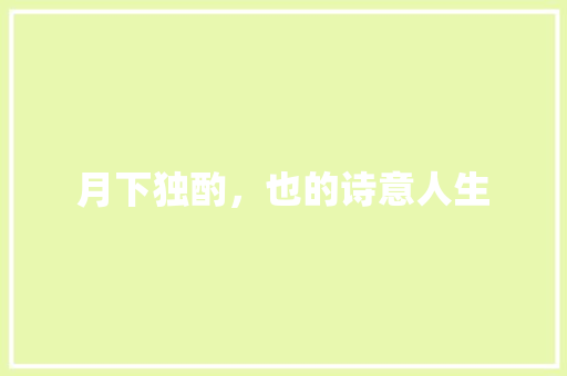 月下独酌，也的诗意人生