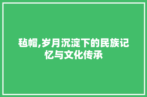 毡帽,岁月沉淀下的民族记忆与文化传承