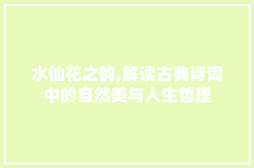 水仙花之韵,解读古典诗词中的自然美与人生哲理
