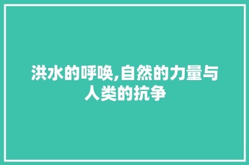 洪水的呼唤,自然的力量与人类的抗争